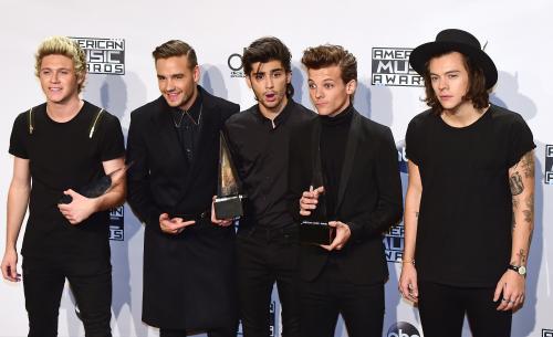 One Direction Win Big at 2014 American Music Awards